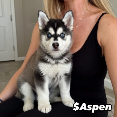 Aspen